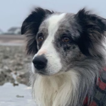 PHOTO-2020-01-02-22-02-48-6